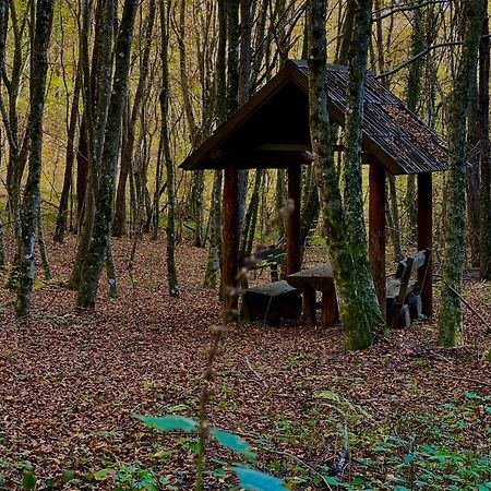 Domacinstvo Una-Ostrovica Кулен Вакуф Екстериор снимка